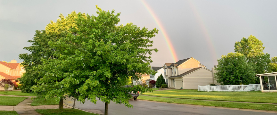 Peaceful Ann Arbor neighborhood street with green trees and a double rainbow — illustrating the quiet, residential atmosphere near apartments in Ann Arbor, MI.