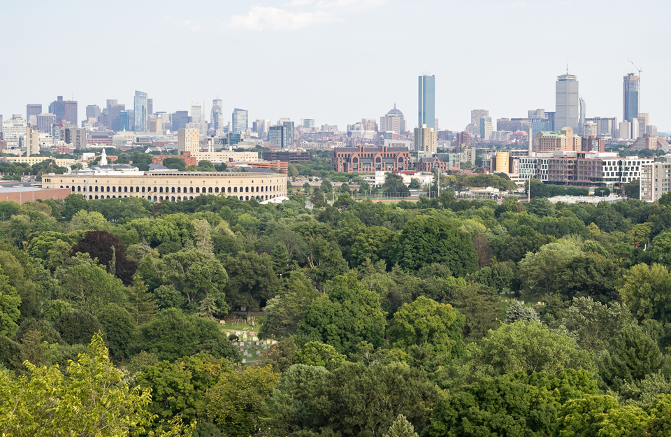 view of boston from mt auburn cemetery