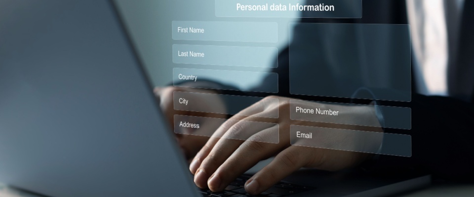Empty fields that need to be filled in for an online rental application.