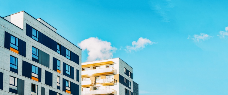 Condo vs. apartment
