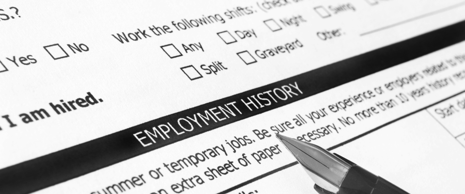 A document with an "employment history" section.