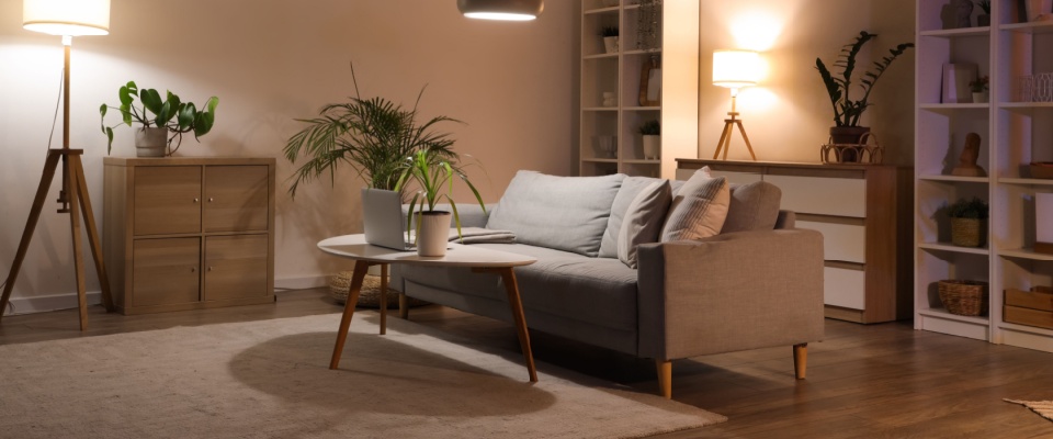 Renter resolutions concept featuring a cozy living room with a sofa, shelving unit, houseplants, and warm lighting, reflecting intentional home organization and comfortable apartment living.