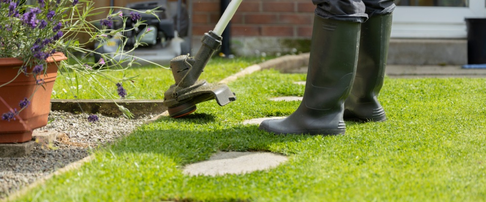 Woman trimming the edge of a lawn with an electric weed whacker, shown as part of home-maintenance tasks sometimes compared with responsibilities when choosing apartments in Tampa.