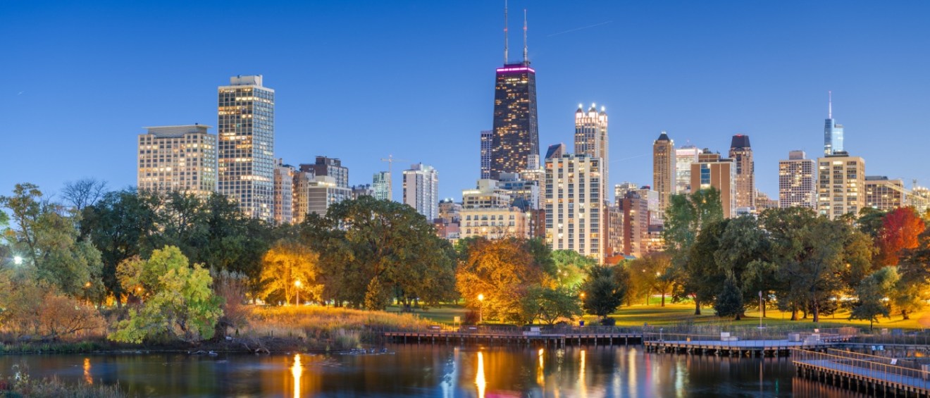 Night view of Chicago skyline from Lincoln Park, showcasing the area with apartments in Chicago.