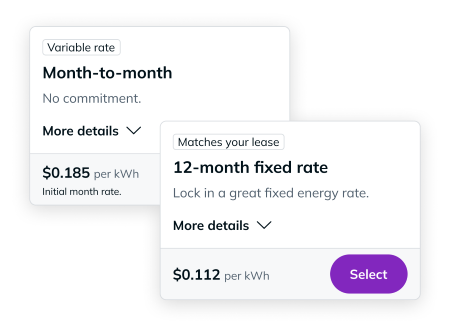 Comparison of electricity plan options showing variable month-to-month rate and 12-month fixed rate pricing per kWh.