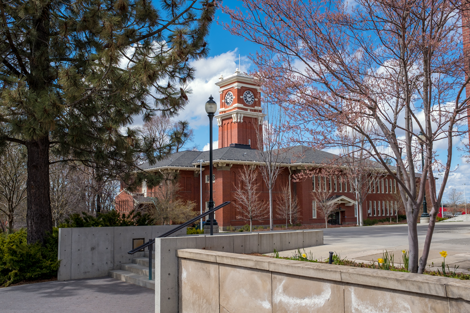 university at pullman wa