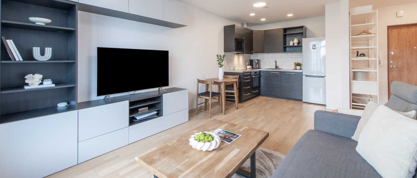 Modern open-concept living room and kitchen showcasing efficient apartment space with minimalist furniture, built-in storage and a compact dining area.
