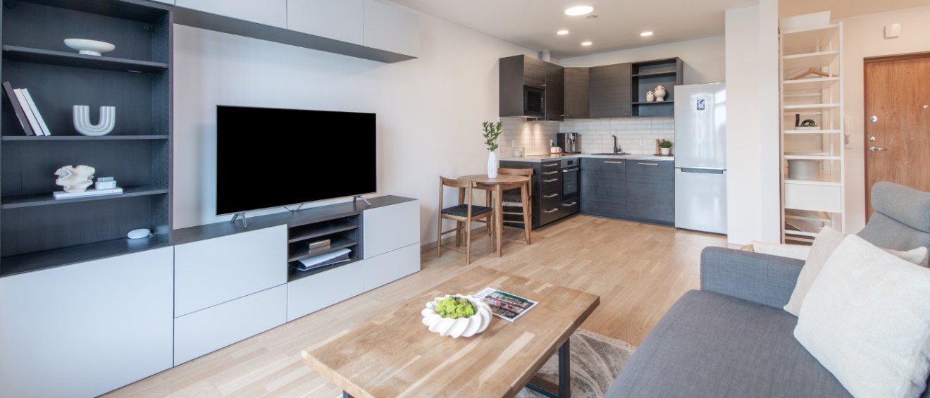 Modern open-concept living room and kitchen showcasing efficient apartment space with minimalist furniture, built-in storage and a compact dining area.