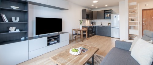 Modern open-concept living room and kitchen showcasing efficient apartment space with minimalist furniture, built-in storage and a compact dining area.
