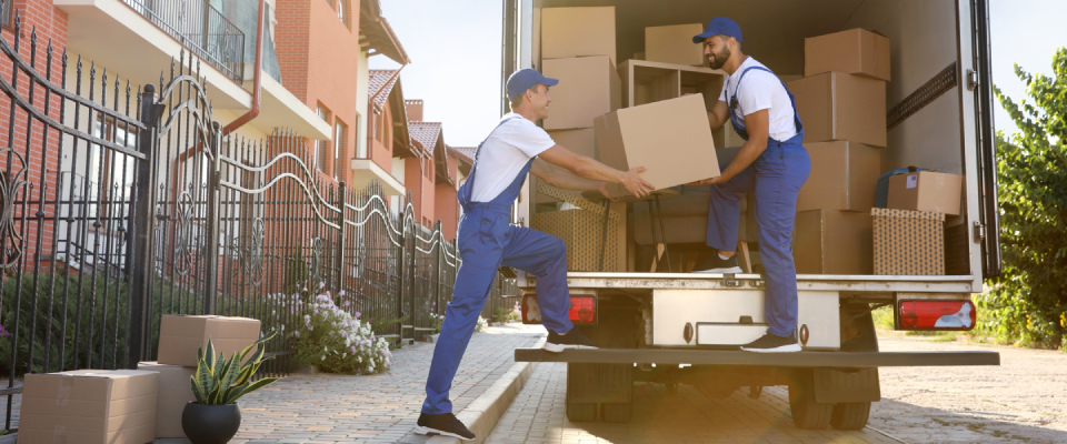 Two people moving furniture after a successful apartment search for a job promotion.