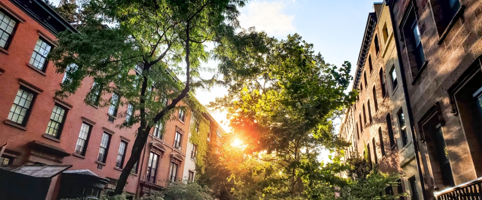 Tree-lined street with historic apartment buildings in Greenwich Village, New York City, illustrating the right neighborhood for a young professional seeking charm, walkability, and urban living.