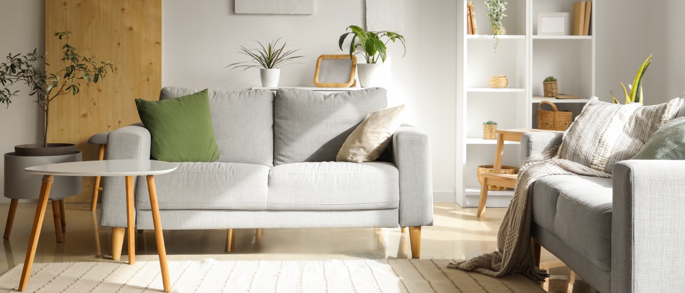 Bright living room with sofas and green plants, illustrating how apartment size can influence comfort, layout, and usable living space.