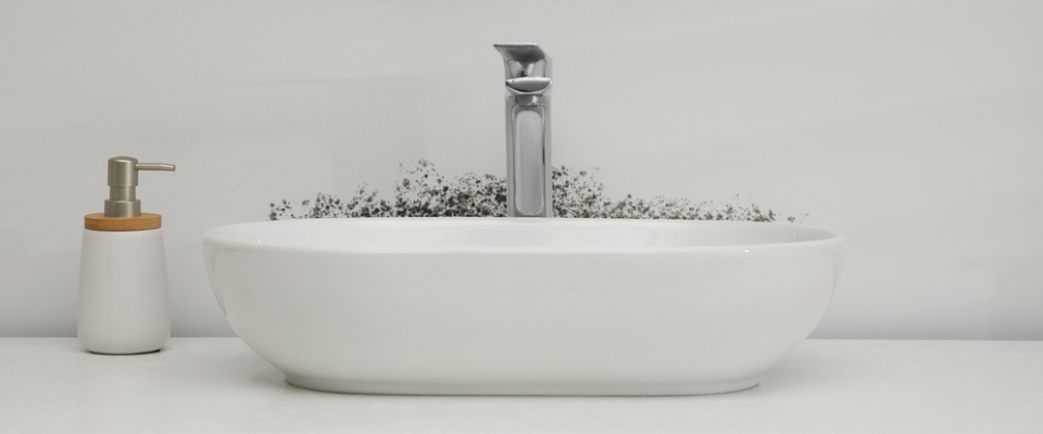 Mold growing behind a white bathroom basin, a reminder to check moisture handling when renting in Boston.