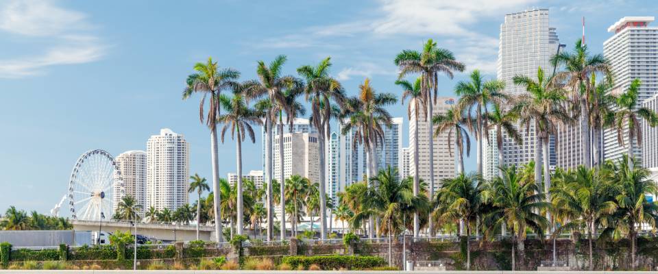 Modern Miami city skyline with tall skyscrapers, tropical vibes, and a seaside view under a sunny sky featured in the renter engagement tracker.