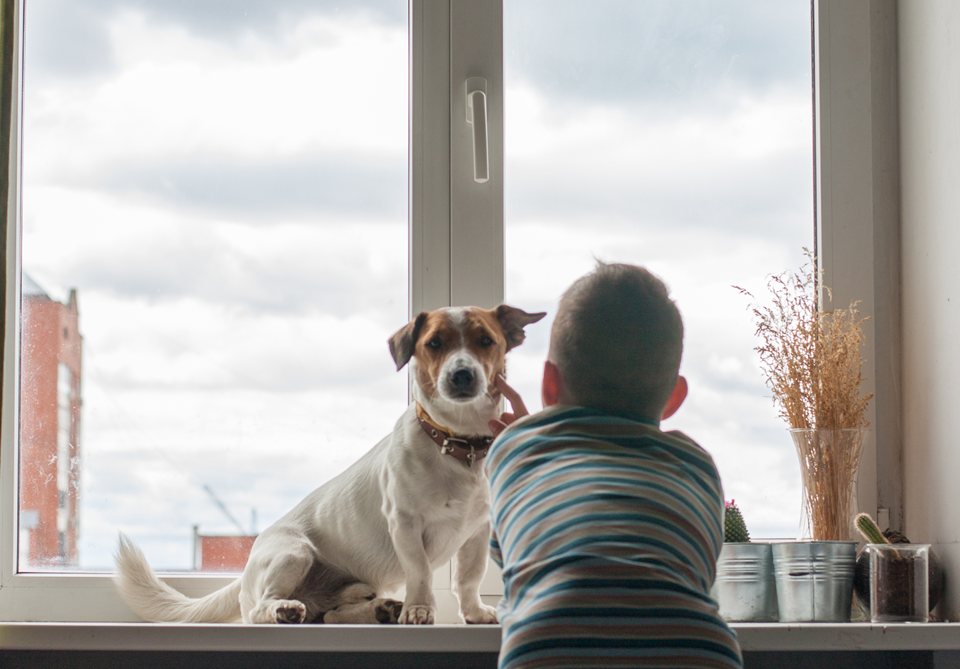 young boy and dog playing next to large apartment window